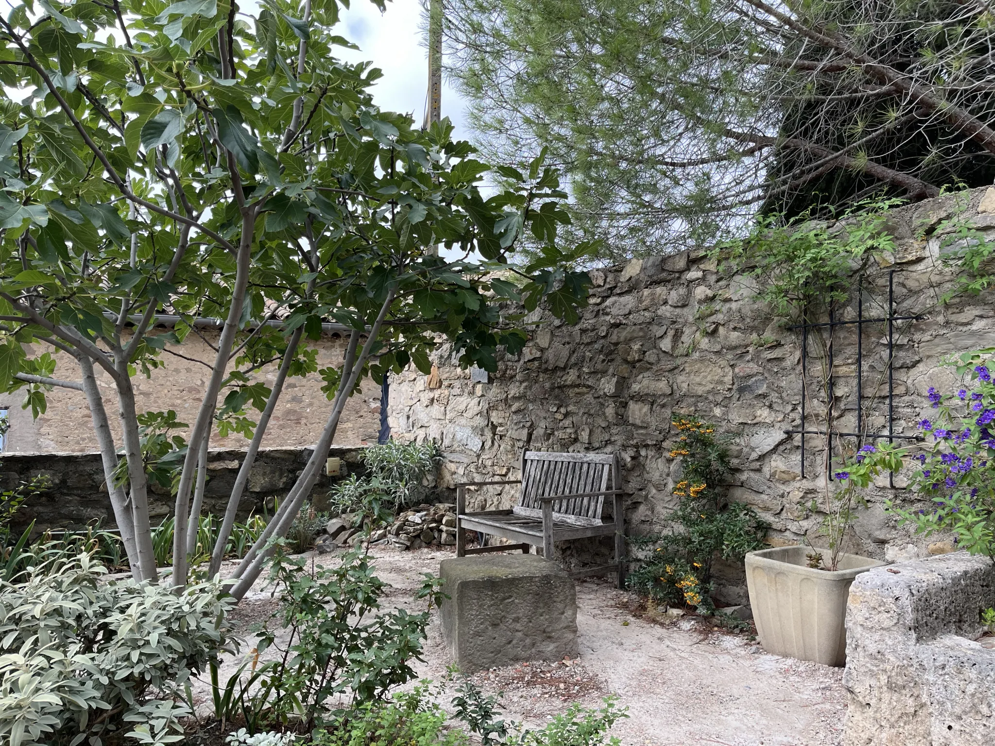 Maison de caractère à Argens-Minervois avec grand jardin 