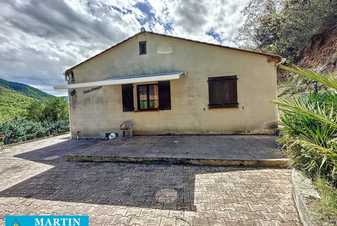 Villa à vendre à Arles sur Tech avec piscine 