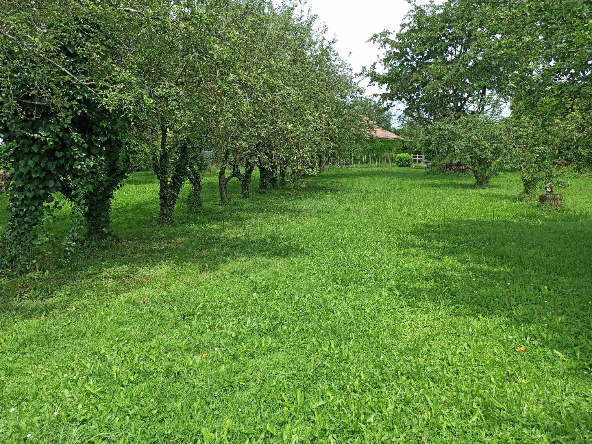 Maison à réhabiliter à Bellerive sur Allier - Potentiel élevé 