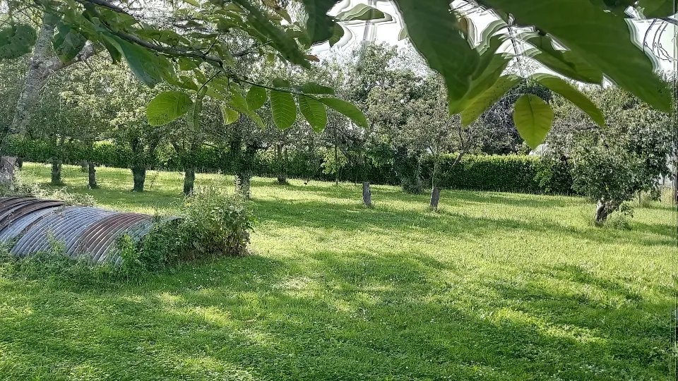 Maison à réhabiliter à Bellerive sur Allier - Potentiel élevé 