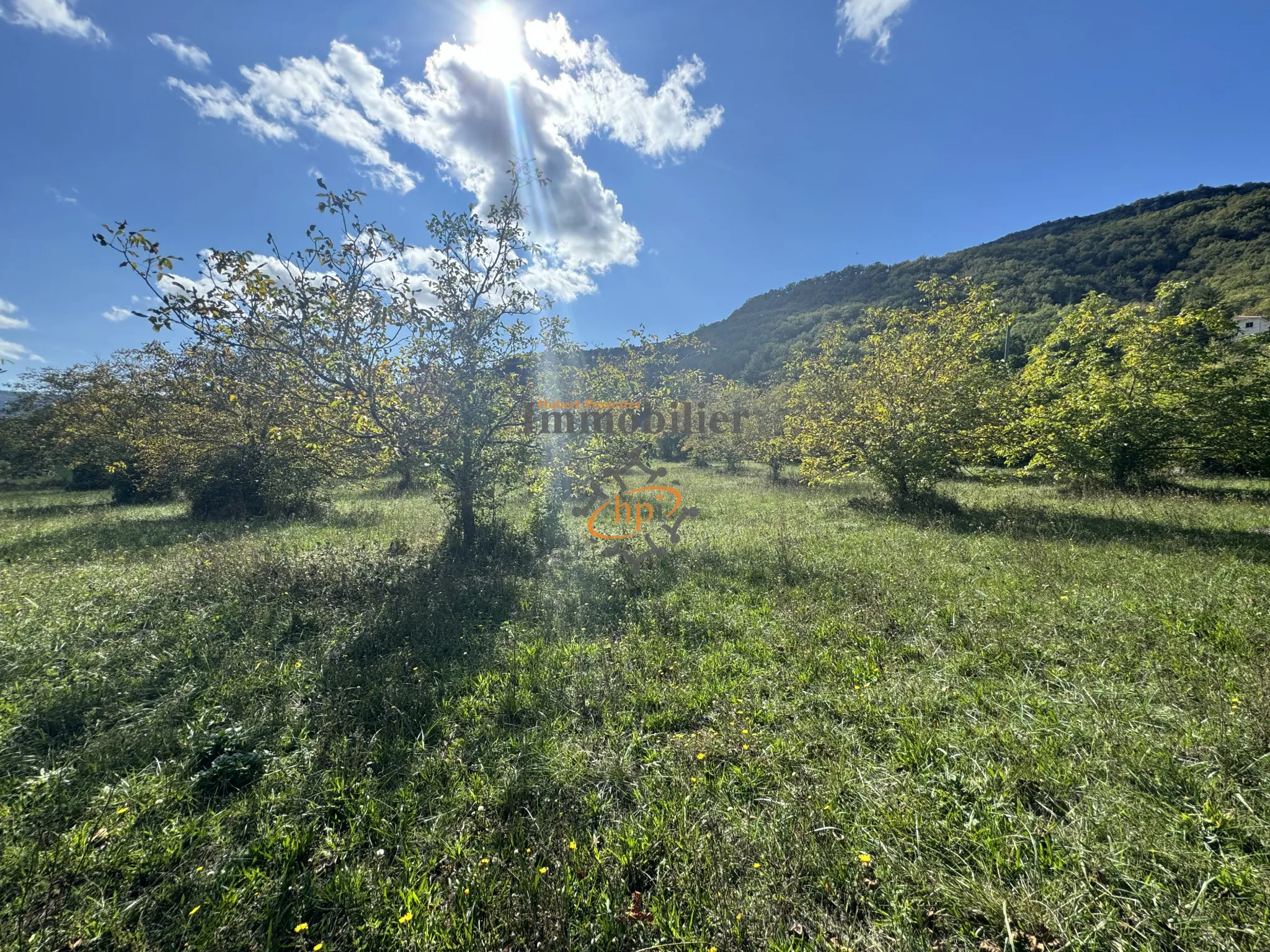 Terrain constructible avec maison de vigne à Saint-Affrique 