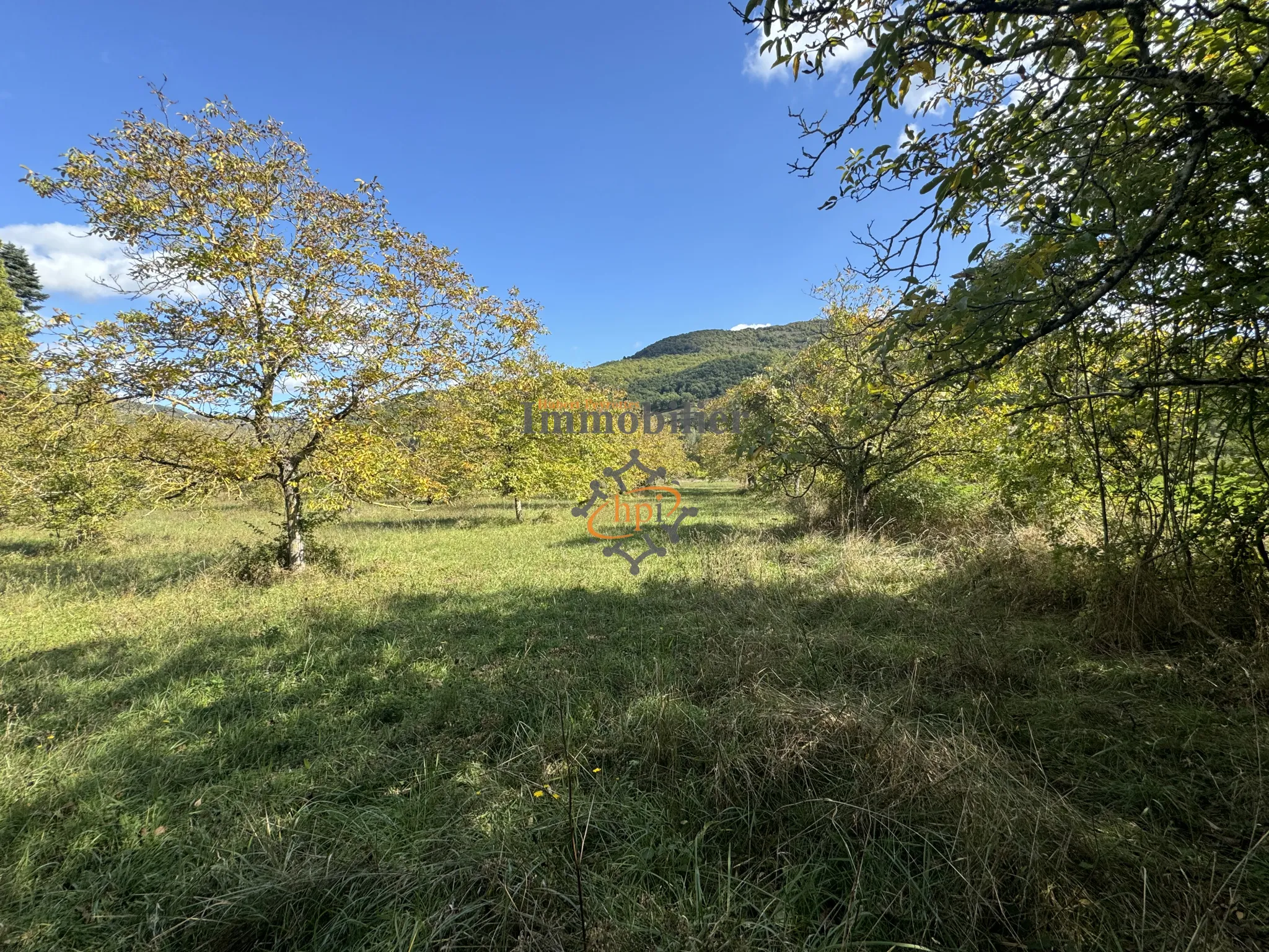 Terrain constructible avec maison de vigne à Saint-Affrique 