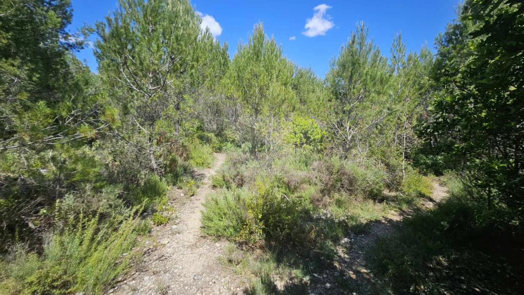 Terrain Agricole Boisé à Vendre à COMBAS (30) - 26 074 m²