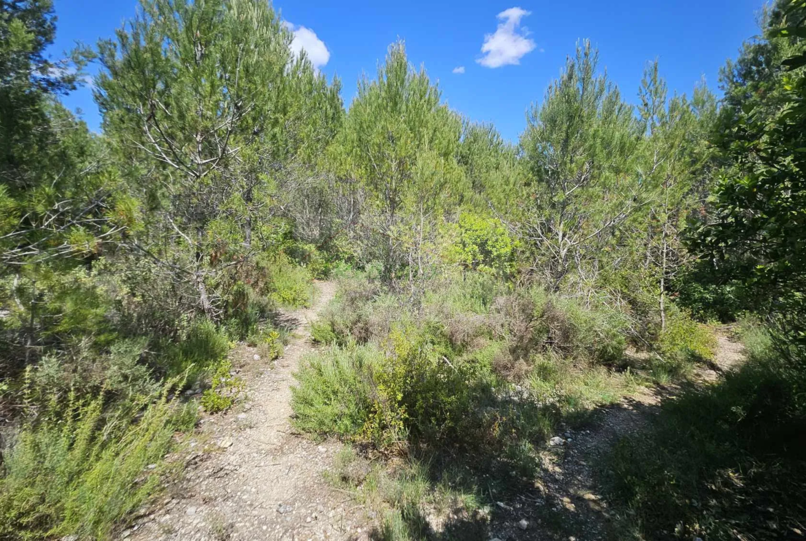 Terrain Agricole Boisé à Vendre à COMBAS (30) - 26 074 m² 