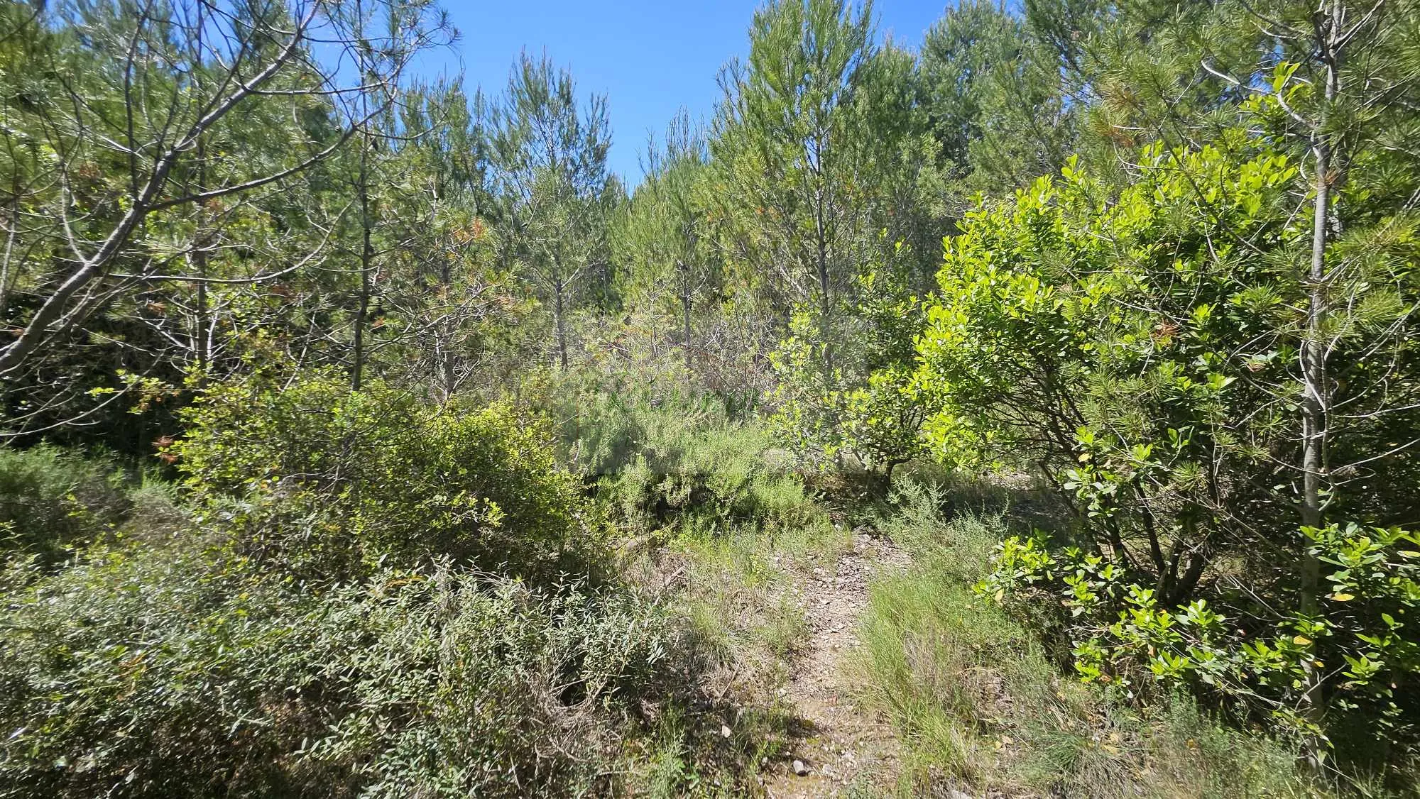 Terrain Agricole Boisé à Vendre à COMBAS (30) - 26 074 m² 