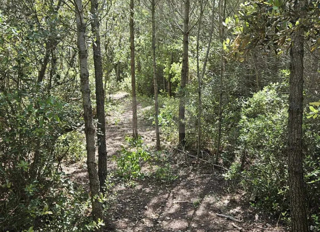 Terrain Agricole Boisé à Vendre à COMBAS (30) - 26 074 m² 