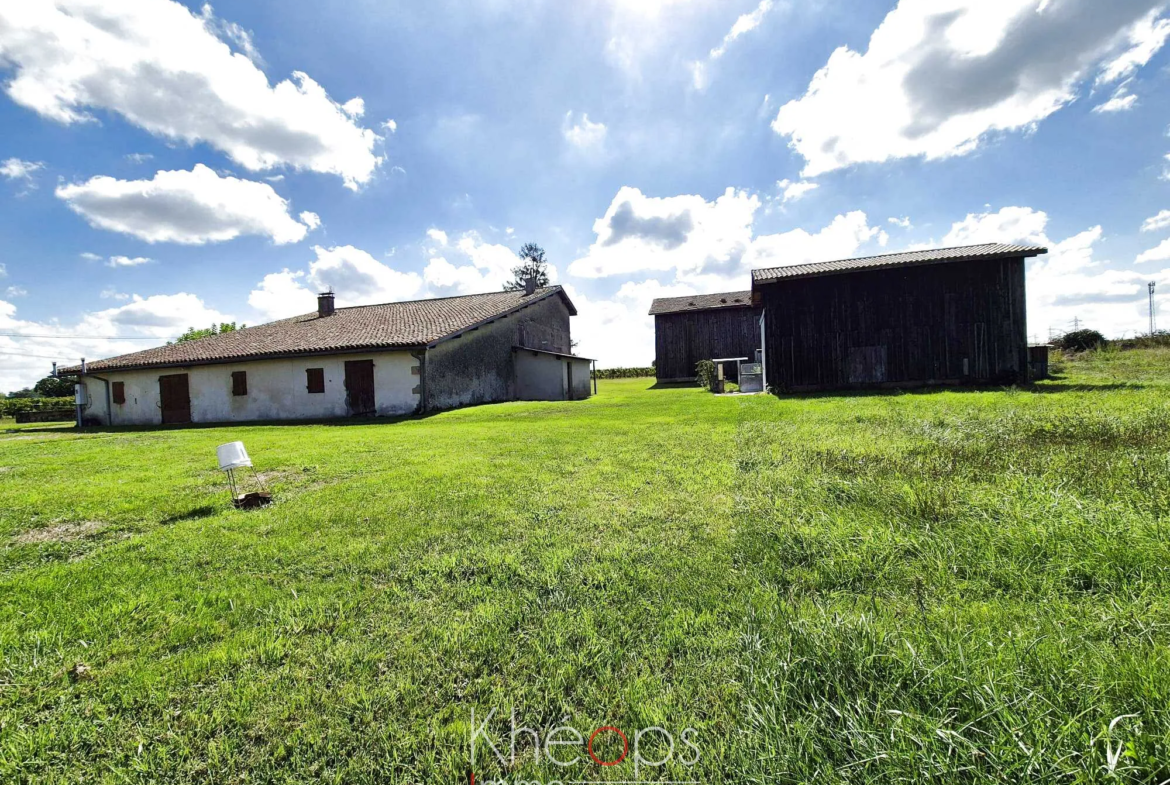 Ancienne ferme à rénover à Langon (33210) avec un grand potentiel 