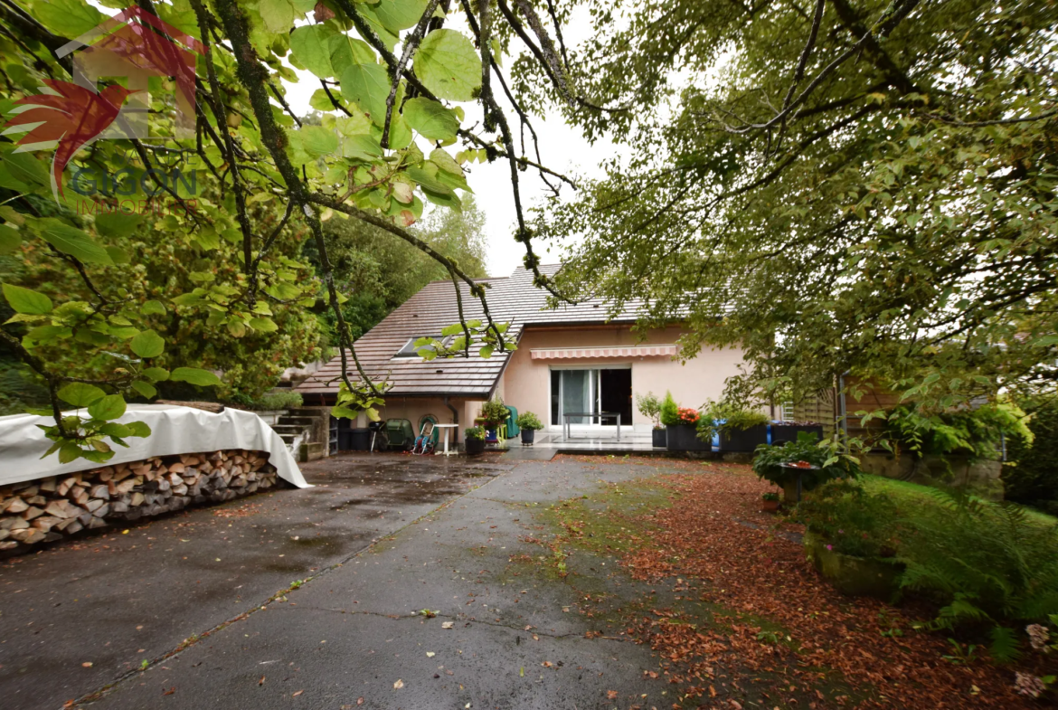 Maison moderne lumineuse et spacieuse à L'Isle-sur-le-Doubs 