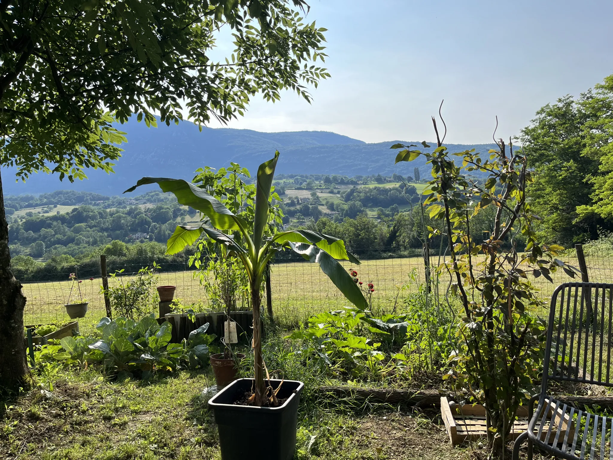 Appartement à vendre à St Jean en Royans - 67 m² avec jardin et vue 