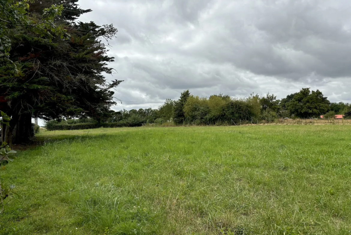 Maison à vendre proche de Chemillé à Chanzeaux 