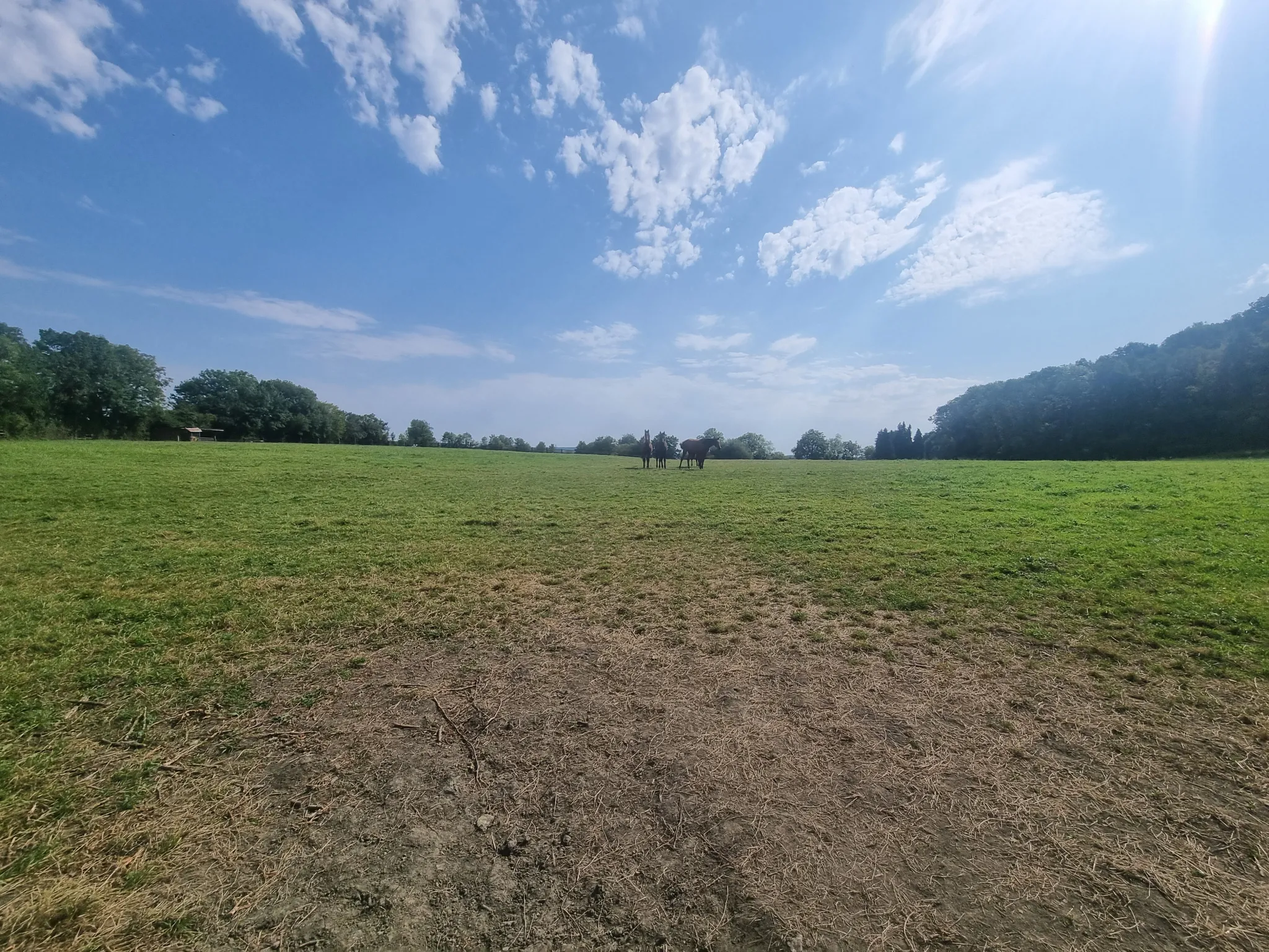 Maison de campagne de 140 m² à vendre entre Le Mêle-Sur-Sarthe et Mortagne-au-Perche 