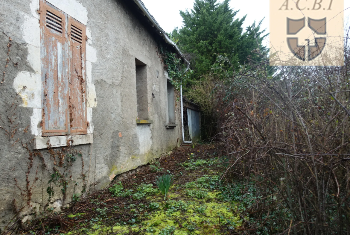 Maison à rénover près d'Oucques avec jardin et dépendances 