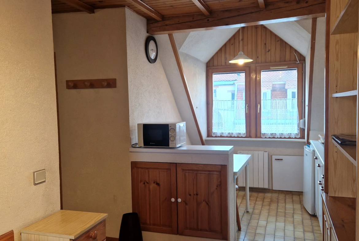 Beau Studio à Vendre à Strasbourg Contades 