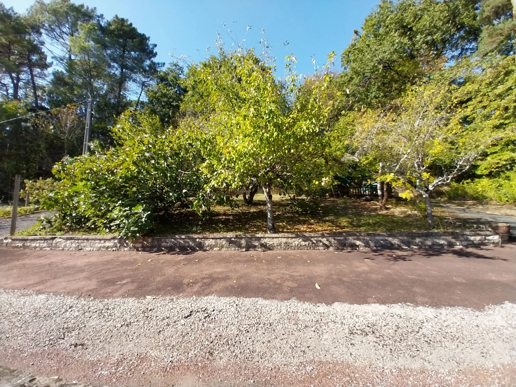 Maison Individuelle à Chancelade avec Terrain Arboré 