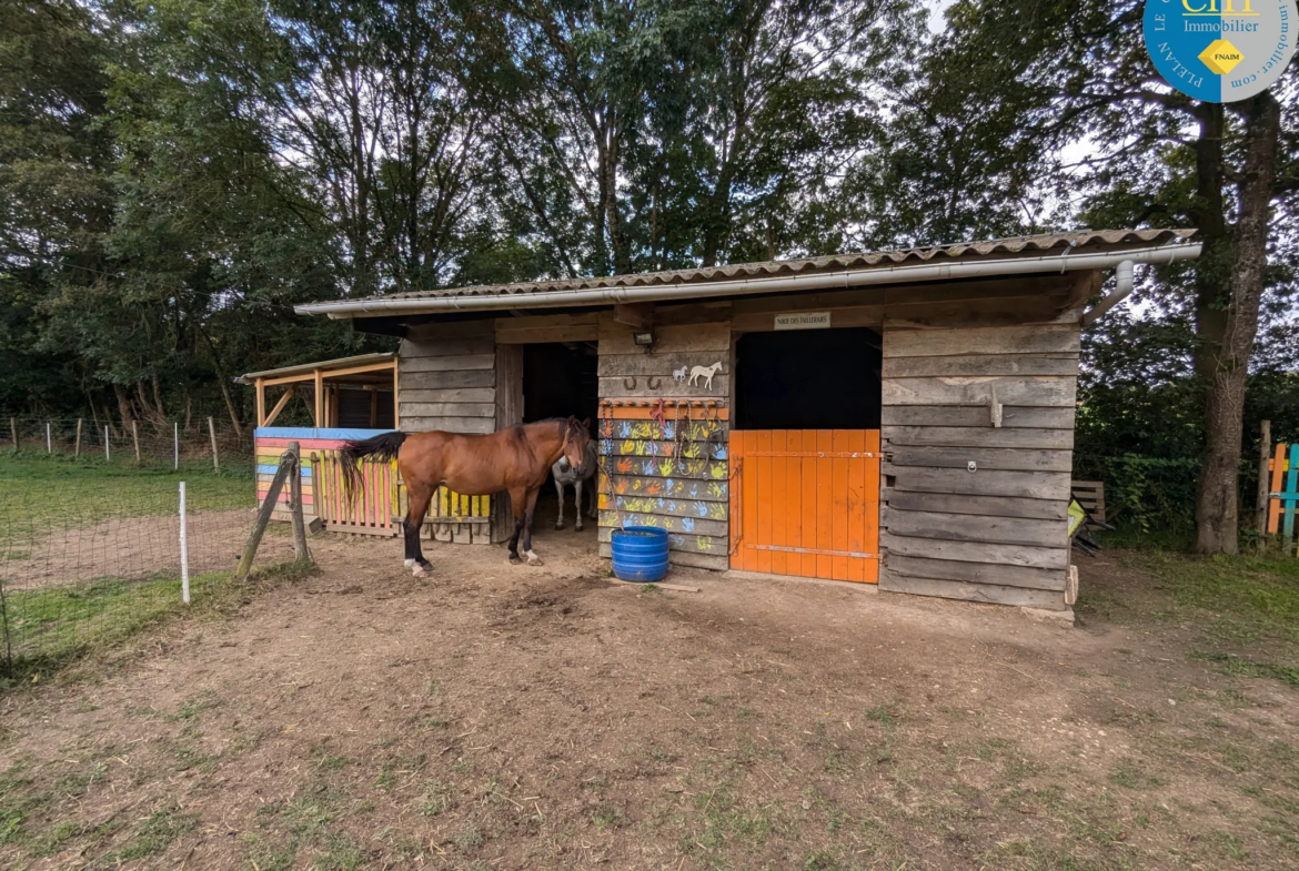 À Guer, maison 4 chambres avec terrain de 6331 m² 