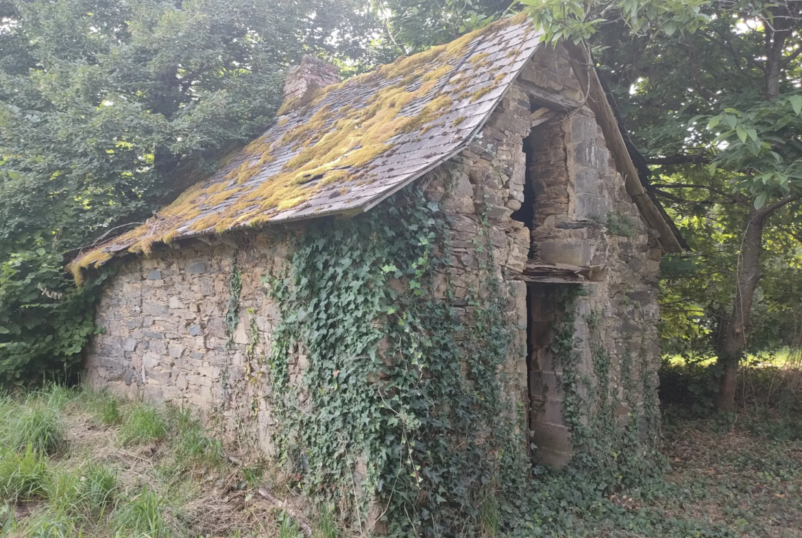 Maison en pierre à rénover à Vignols 