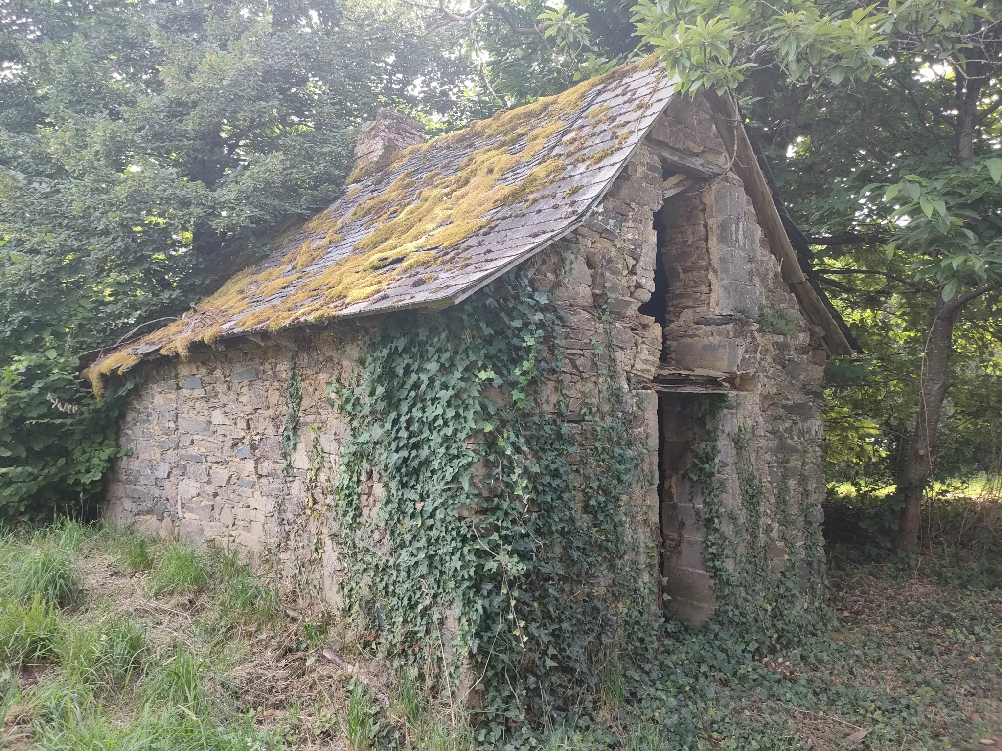 Maison en pierre à rénover à Vignols 