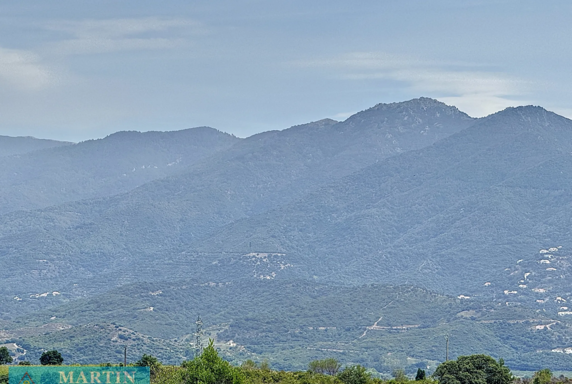 Terrain de loisir à Le Boulou - 24 490 m² à vendre 