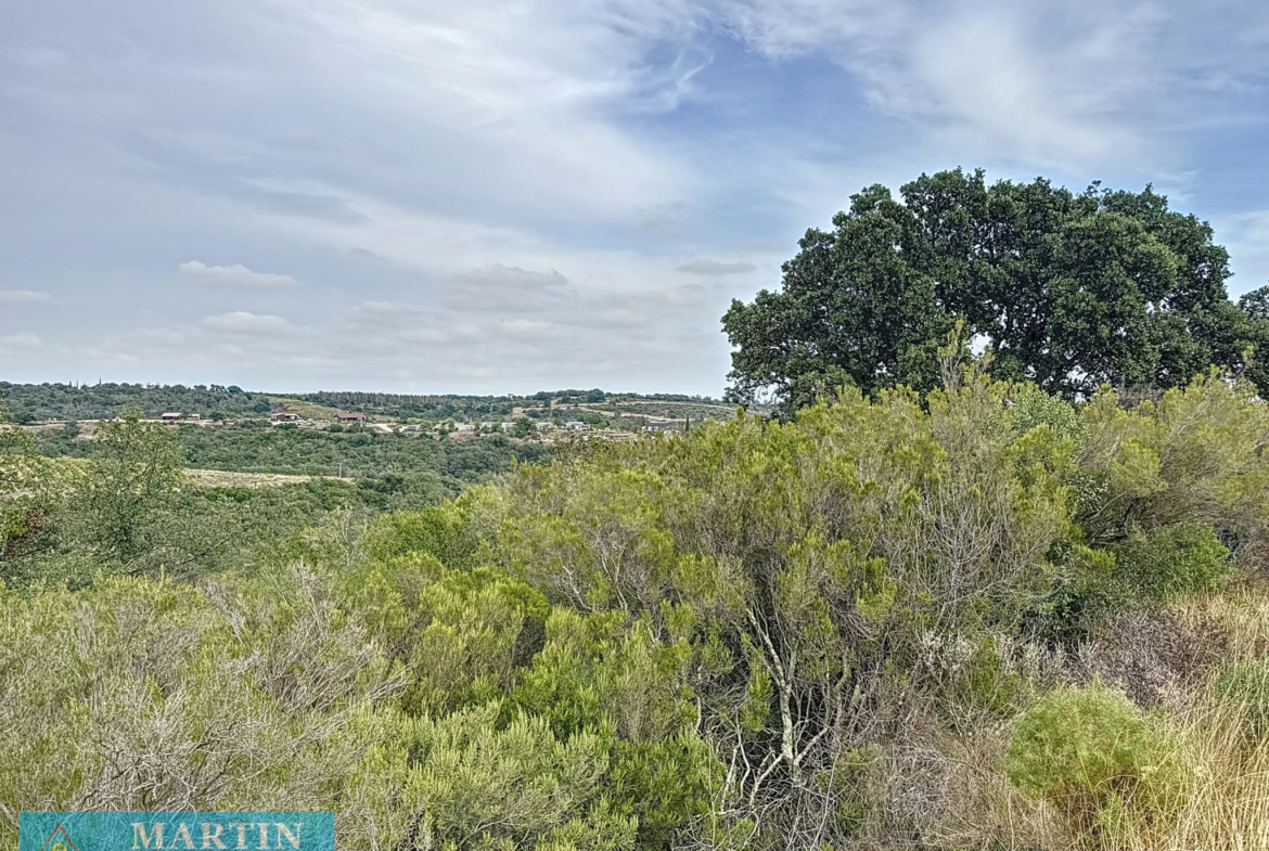 Terrain de loisir à Le Boulou - 24 490 m² à vendre 