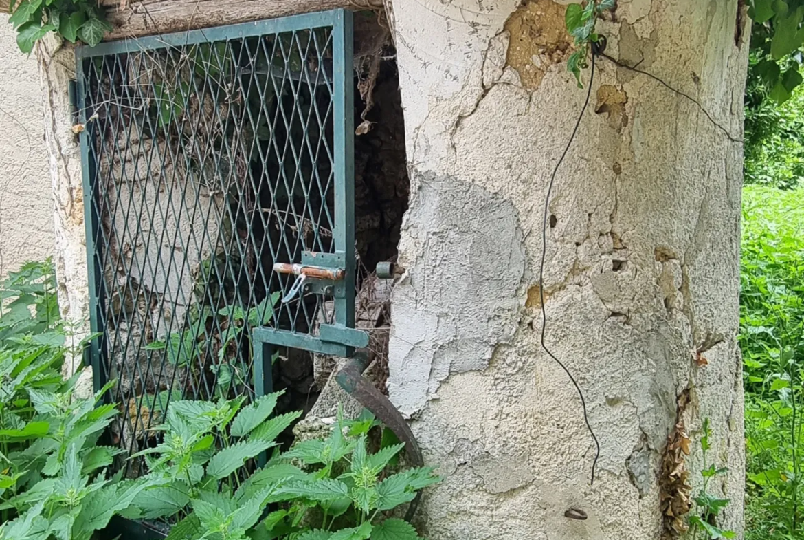 Maison de Campagne à Rénover près de Bray-sur-Seine 