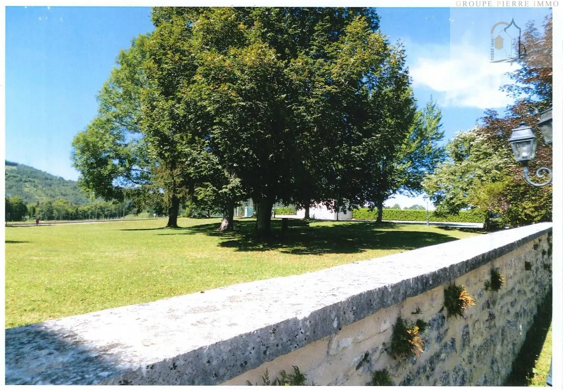 Ancien moulin de 1000 m² à vendre à Thoirette sur 26600 m² de terrain 