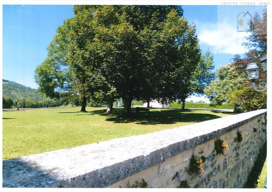 Ancien moulin de 1000 m² à vendre à Thoirette sur 26600 m² de terrain 