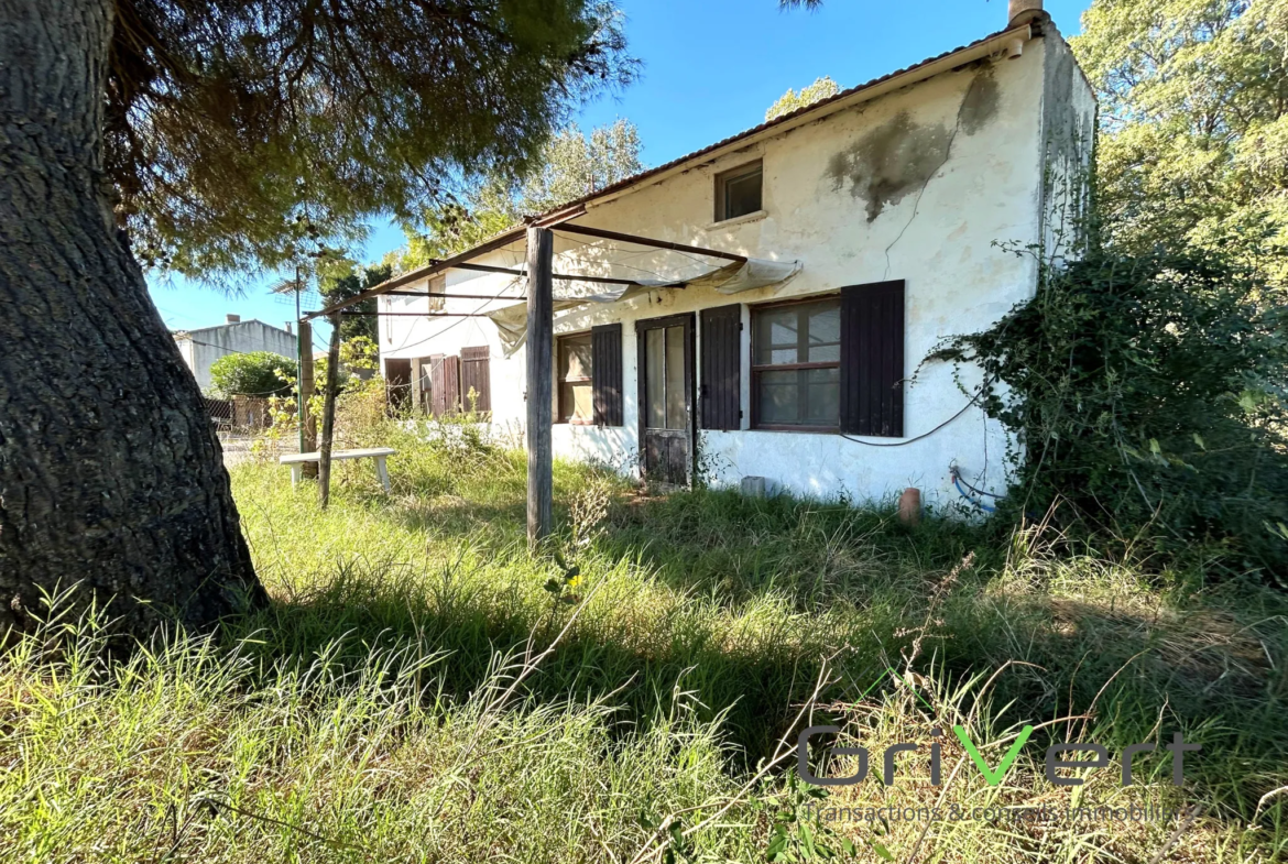 Propriété en Camargue avec Maison de 122m2, Hangar de 145m2 et Maisonnette de 55m2 