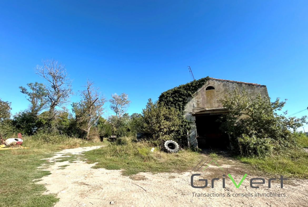 Propriété en Camargue avec Maison de 122m2, Hangar de 145m2 et Maisonnette de 55m2 