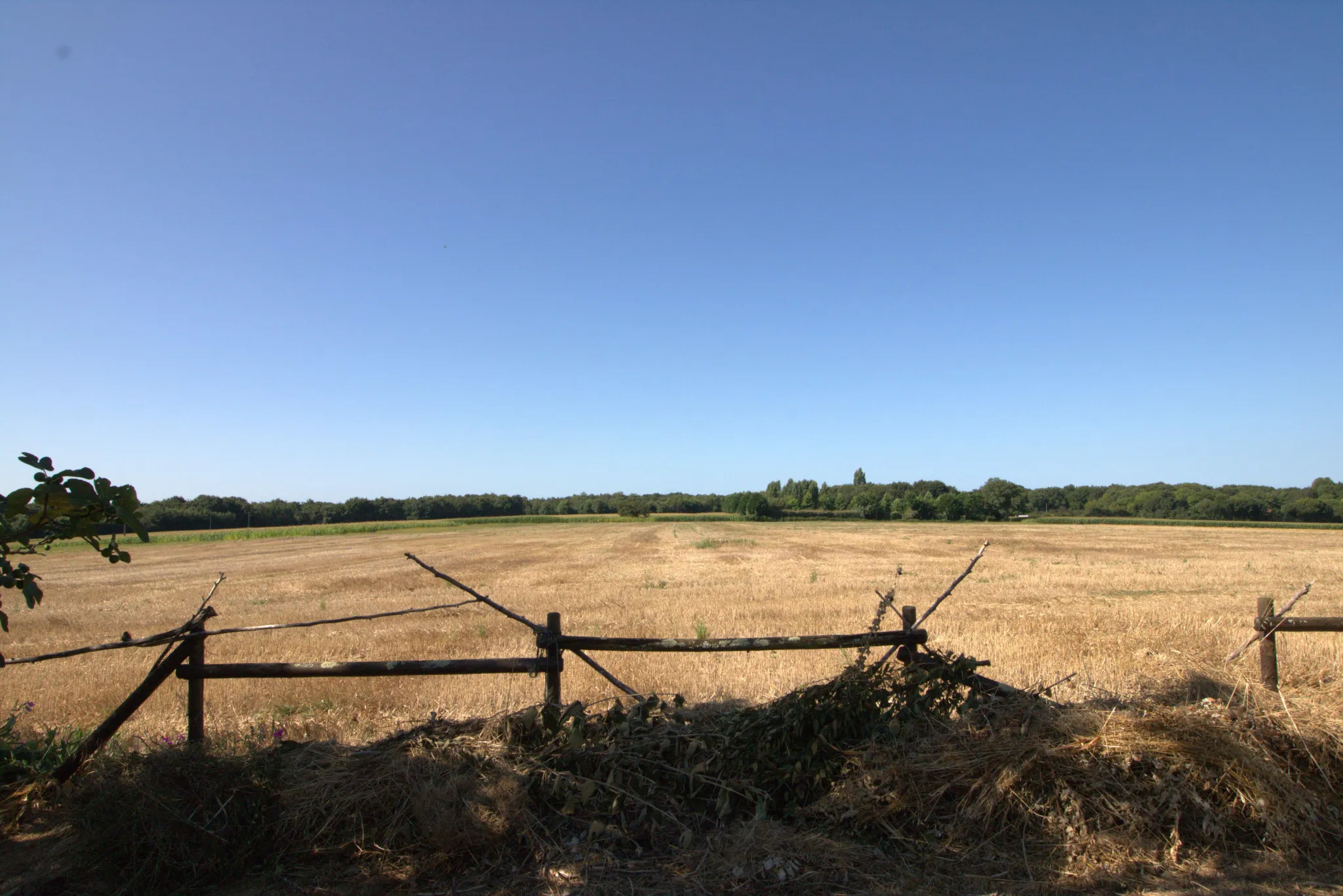 Ensemble immobilier de 3 maisons avec jardin à Nieul les Stes 