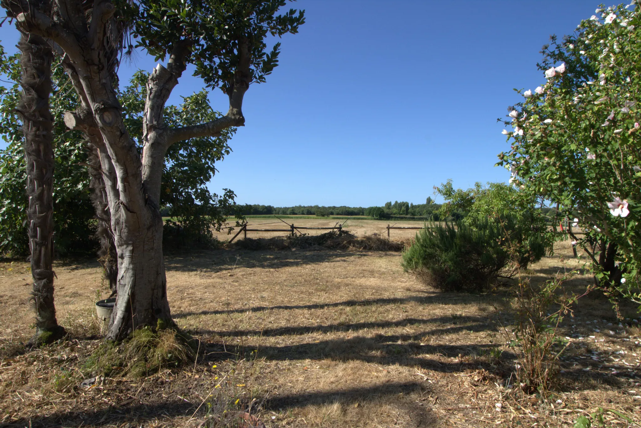 Ensemble immobilier de 3 maisons avec jardin à Nieul les Stes 