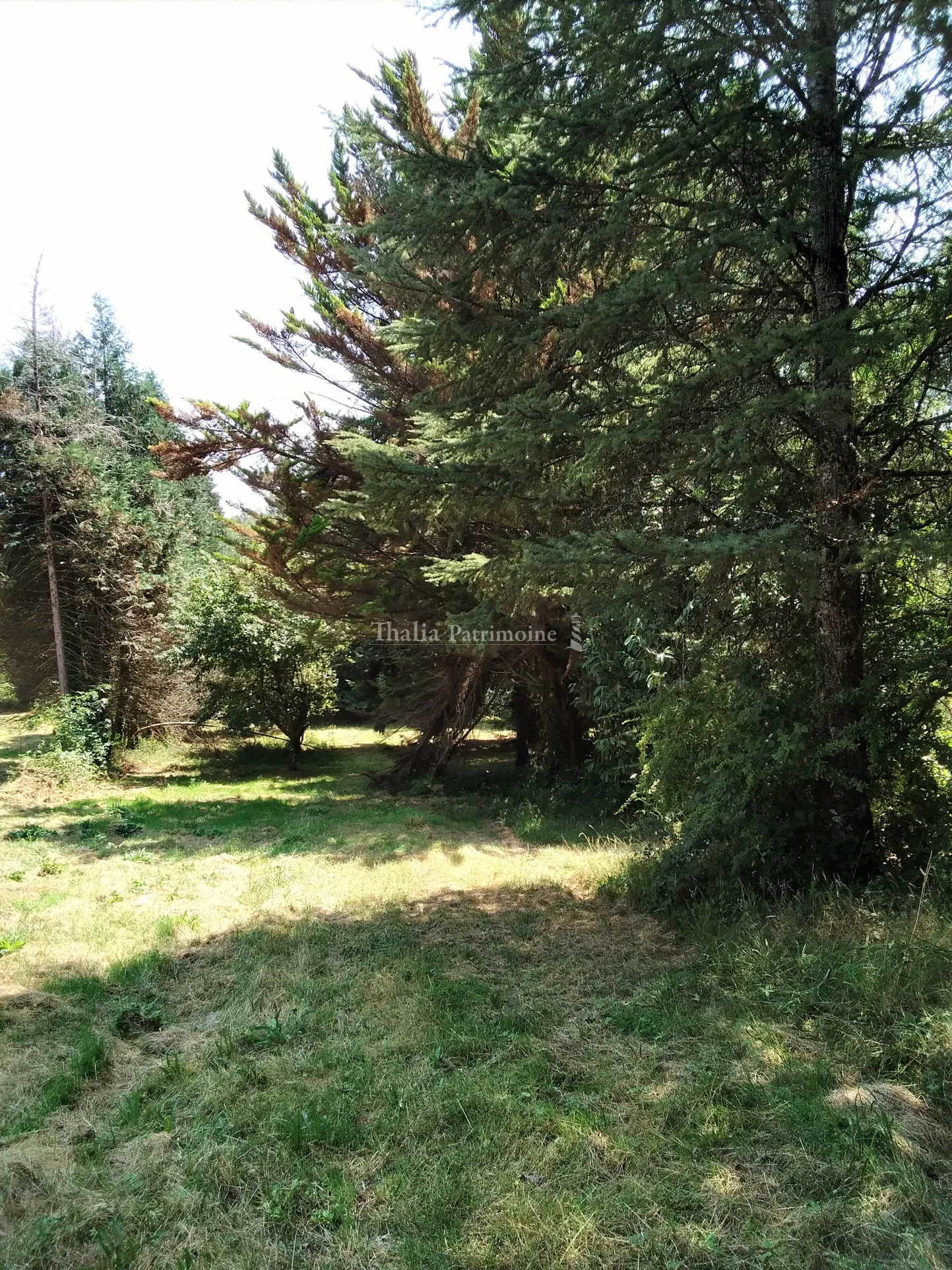 À vendre : villa périgourdine à Nontron avec parc arbore 