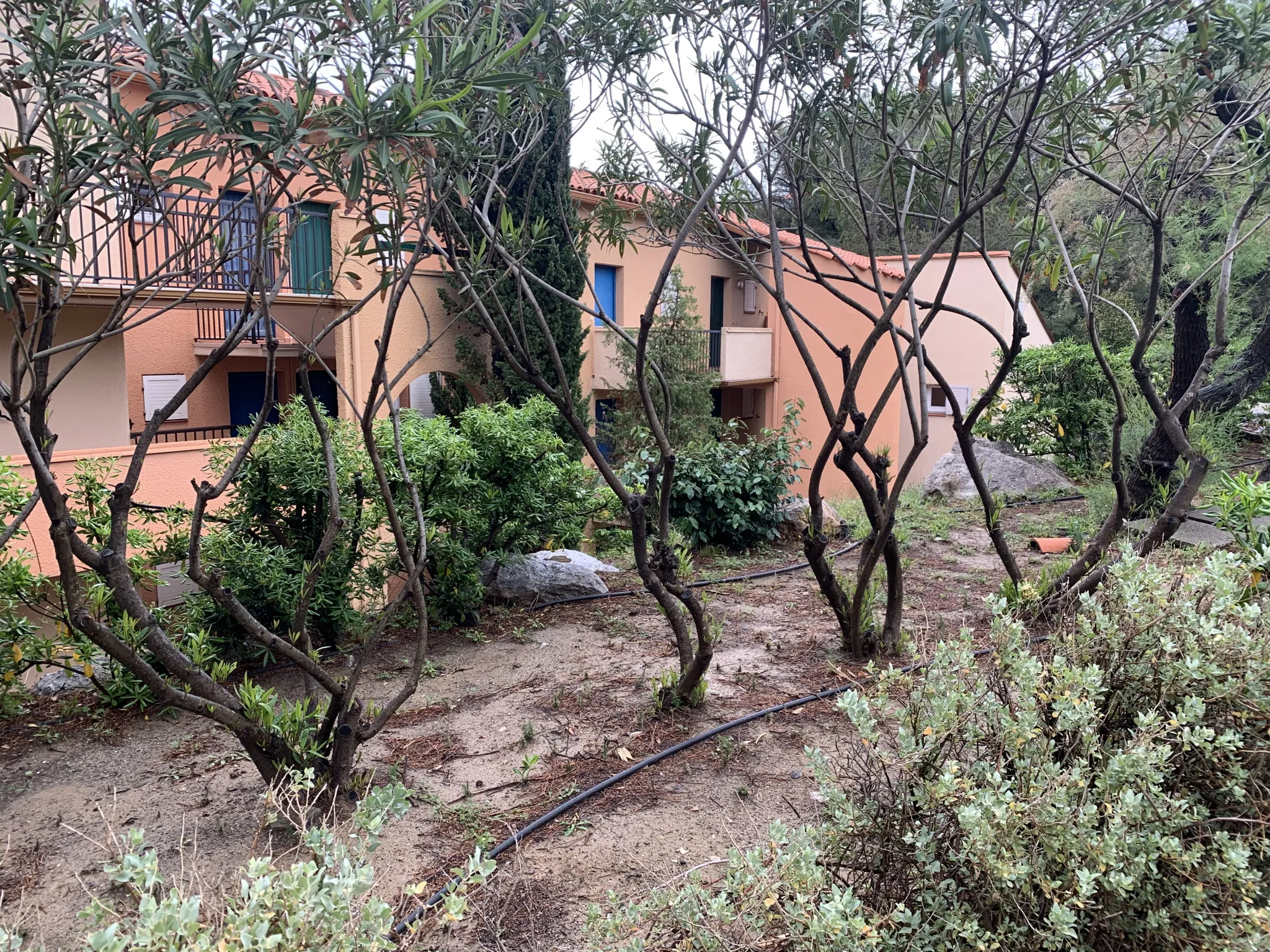 A vendre : Appartement T1 bis avec vue sur la mer à Collioure 