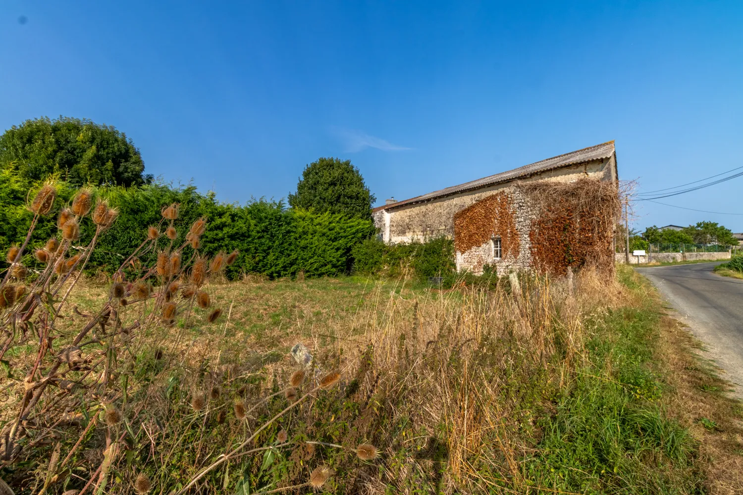 Bâtiment de 184 m2 à Saint-Savinien avec jardin 