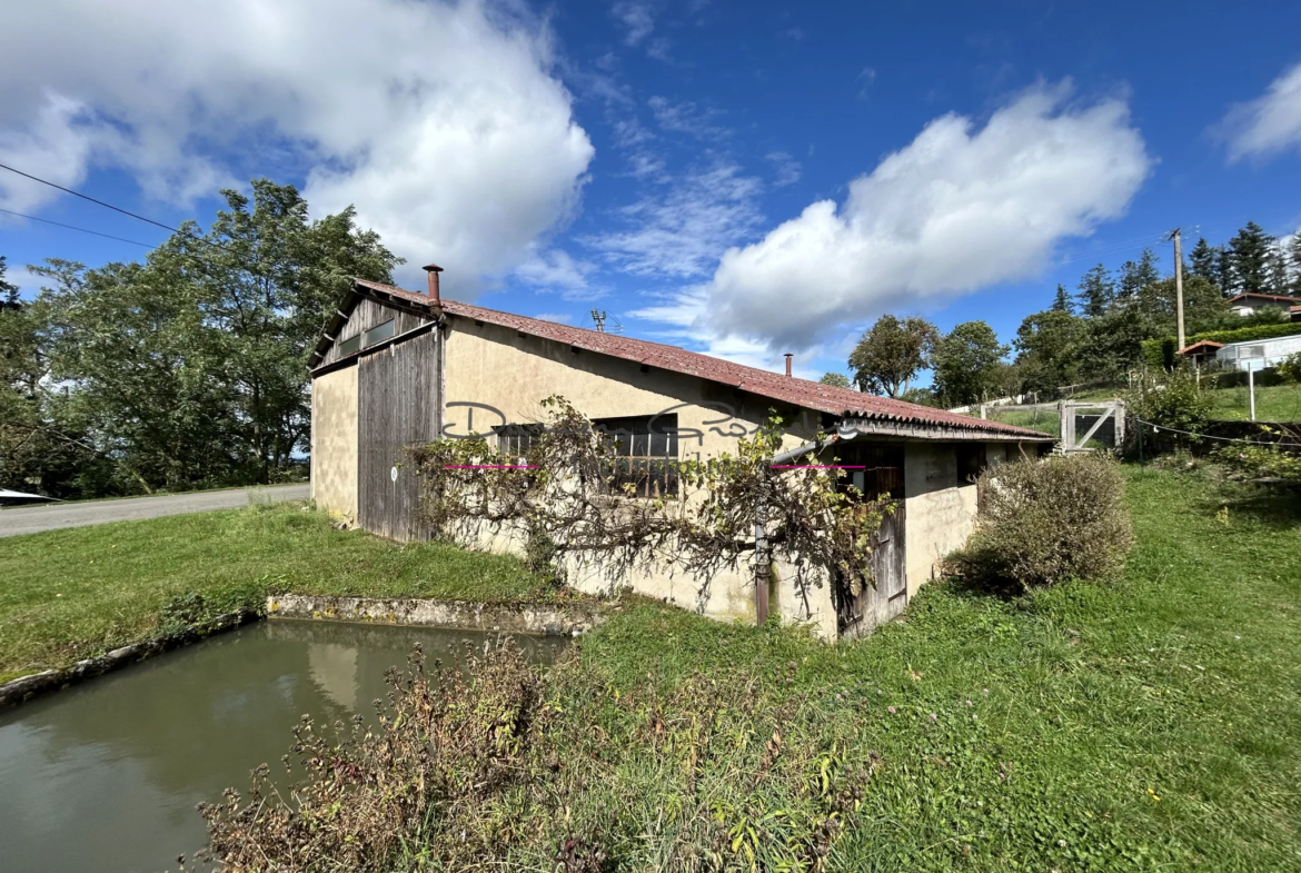 Hangar de 182 m² avec terrain de 733 m² à vendre dans la Loire 