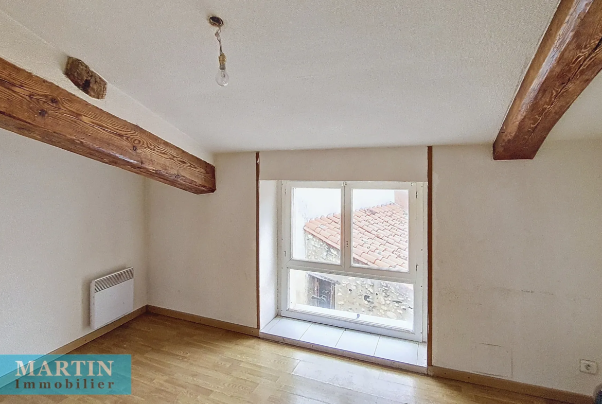 Vente de 2 appartements T2 et T4 à Ceret, centre historique 