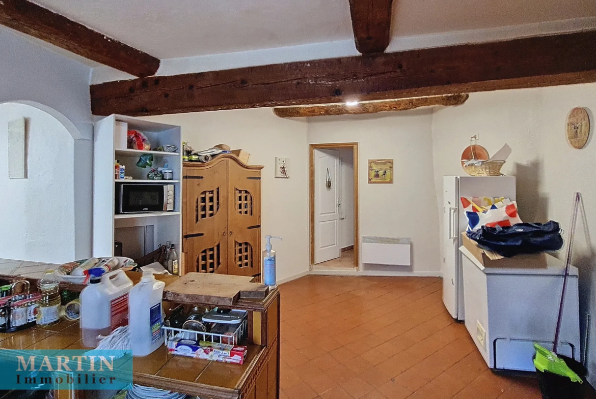 Vente de 2 appartements T2 et T4 à Ceret, centre historique 