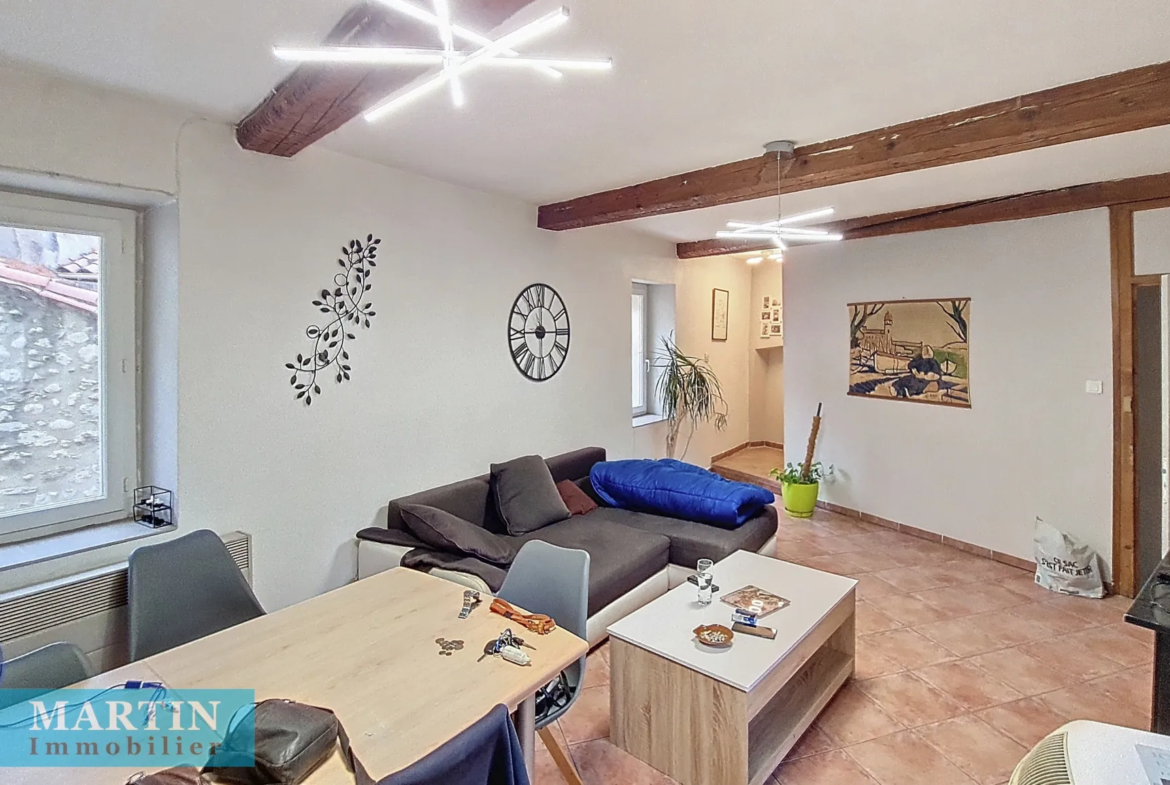 Vente de 2 appartements T2 et T4 à Ceret, centre historique 