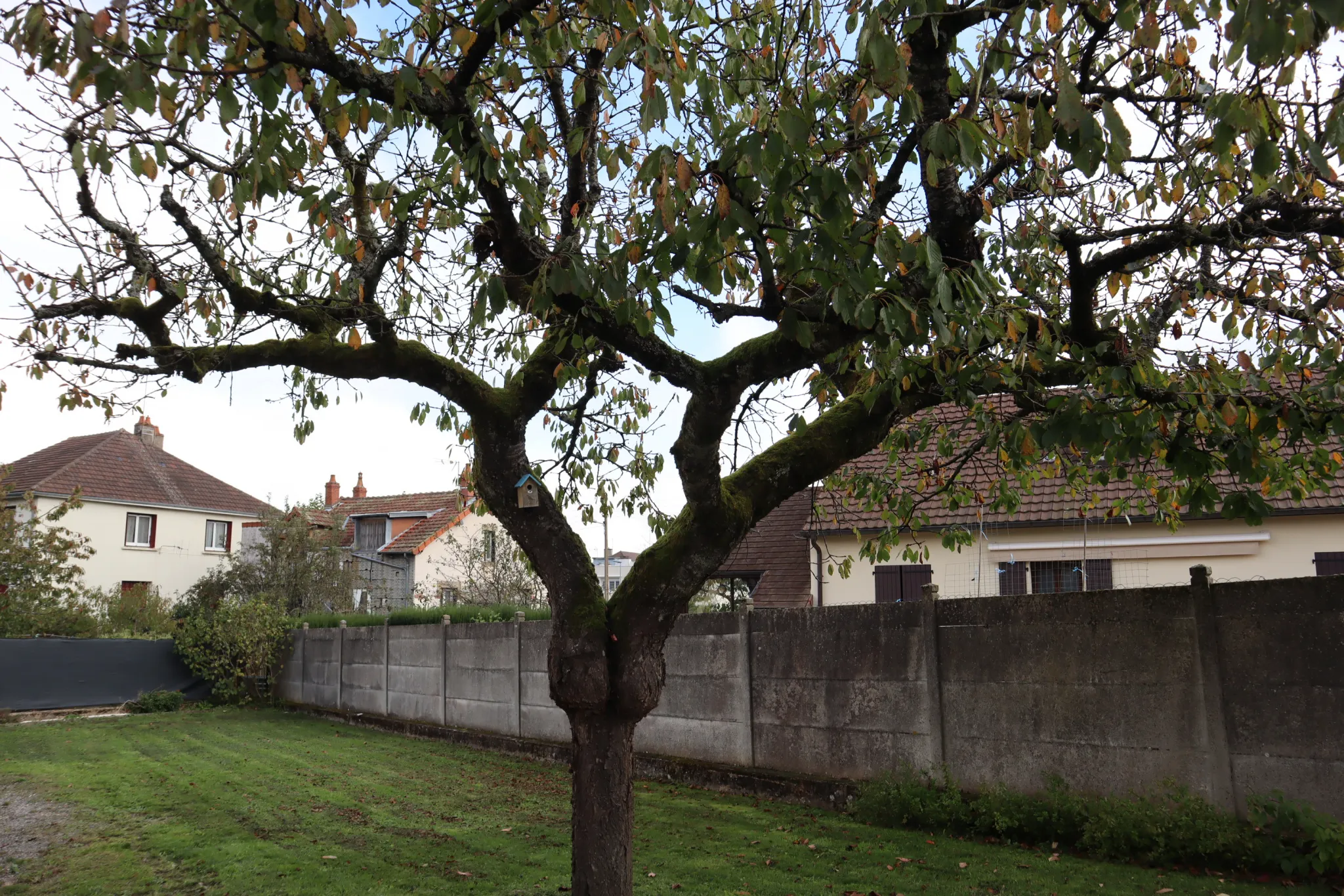 Maison à vendre à Autun - Quartier du Parc, 4 chambres sur 501 m² 