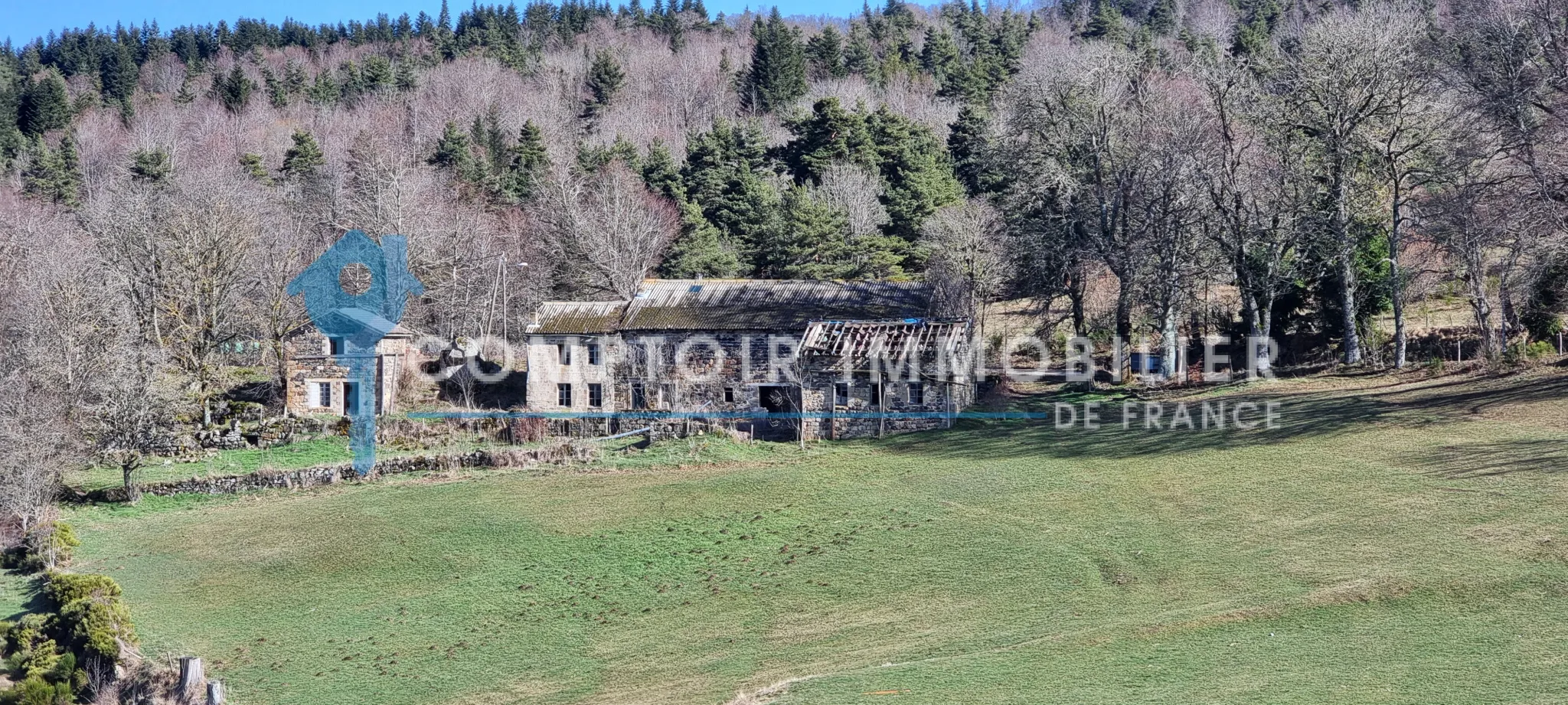 Ferme de 300 m² à vendre au LAC D'ISSARLES - 29 ha de terre 