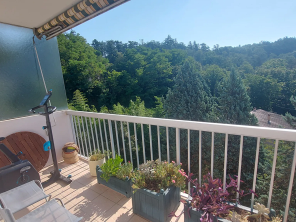 Vente Appartement T4 Dernier Étage avec Garage à Vienne