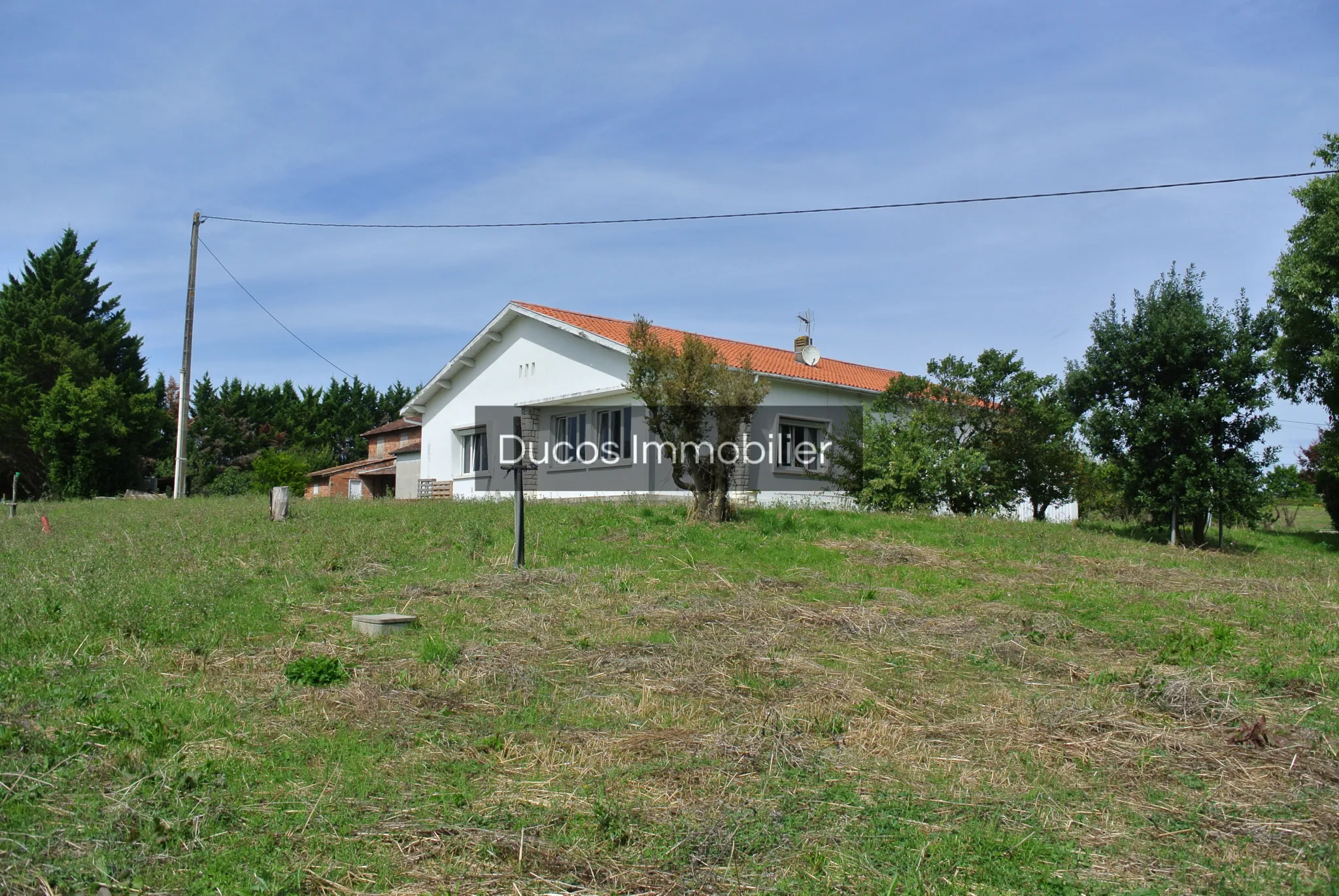 Maison traditionnelle sur 2,8 hectares à Virazeil 