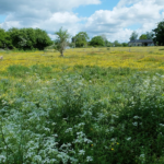 Terrain constructible de 17 790 m2 à Bardouville