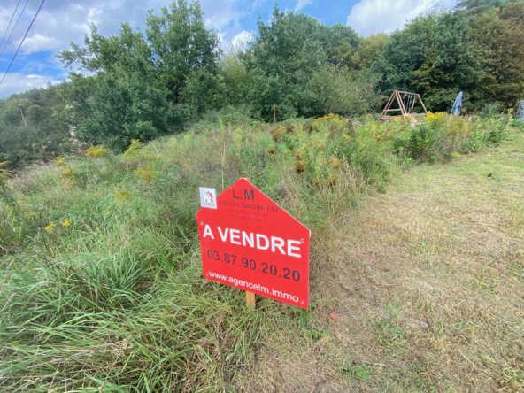 Terrain constructible de 2562 m² à Creutzwald, possibilité de construire deux maisons