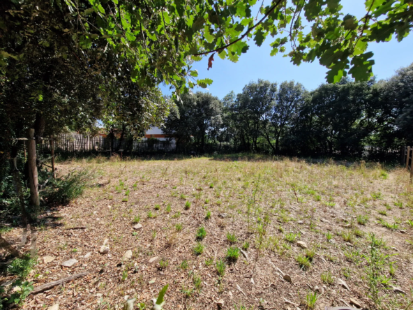 Vente terrain constructible de 450 m² à Sardan