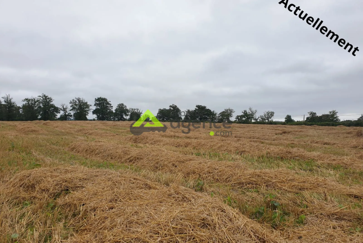 Grange à rénover avec grand terrain à Domeyrot 