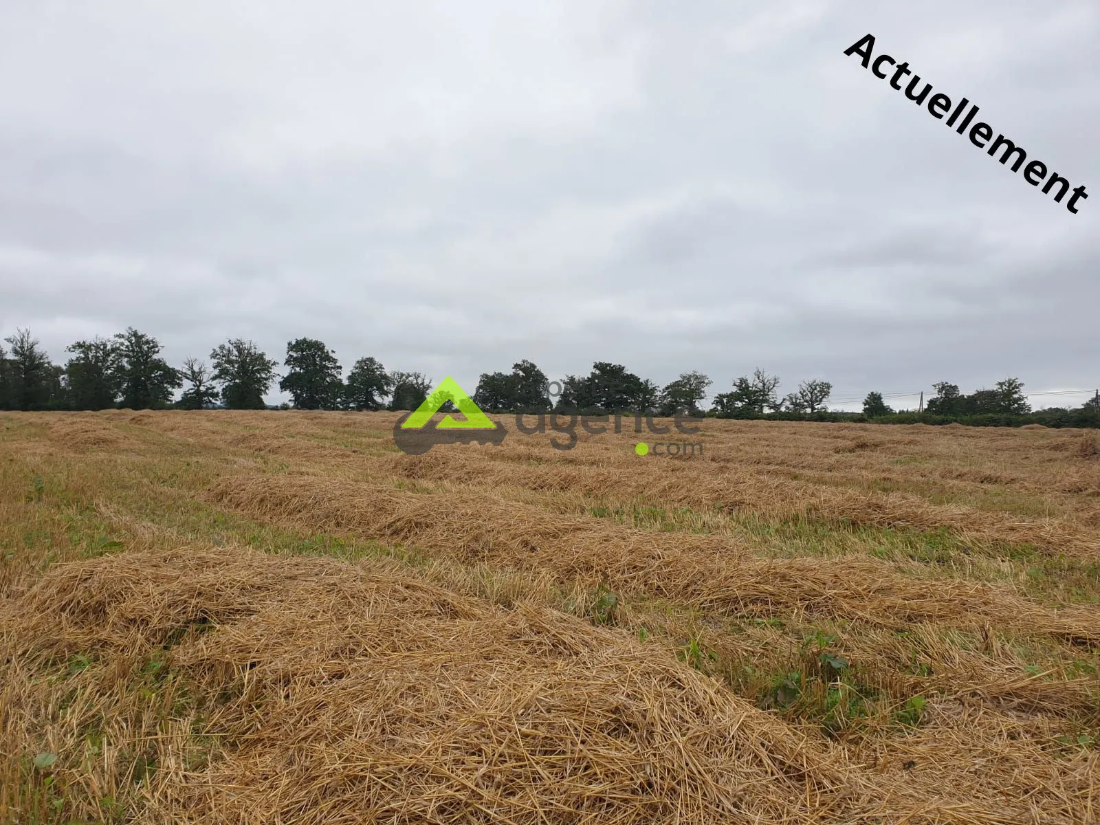 Grange à rénover avec grand terrain à Domeyrot 