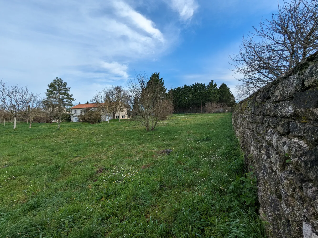 Maison spacieuse à Saint-Savinien avec jardin et extension à aménager 