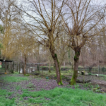 Maison Ancienne avec Île Privative à Gensac la Pallue