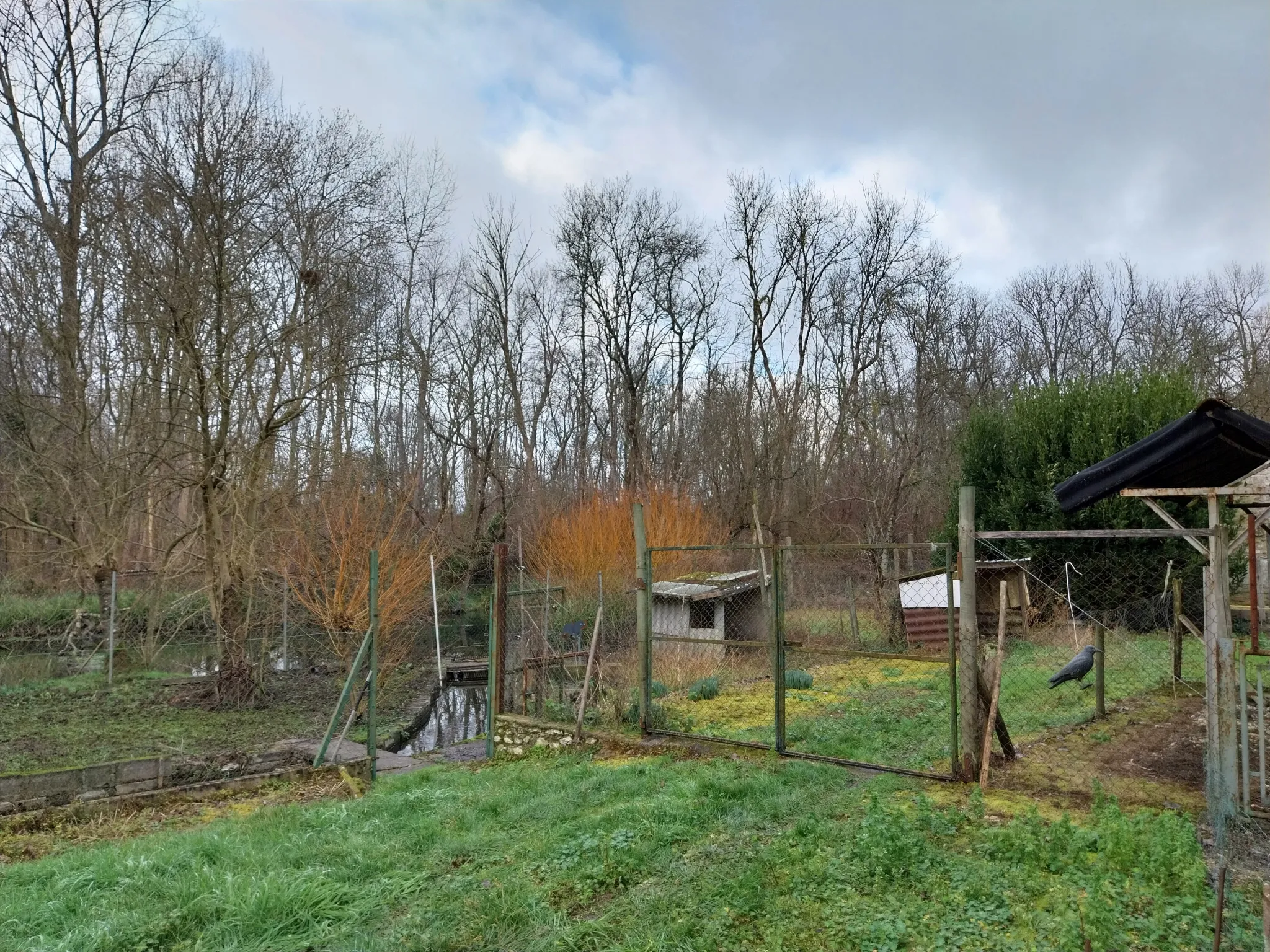 Maison Ancienne avec Île Privative à Gensac la Pallue 