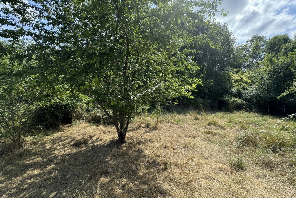 Maison de village en pierres avec jardin et terres à Limoux 